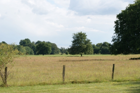 Old playing fields<br>