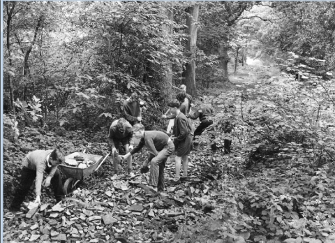 YFC and estate work