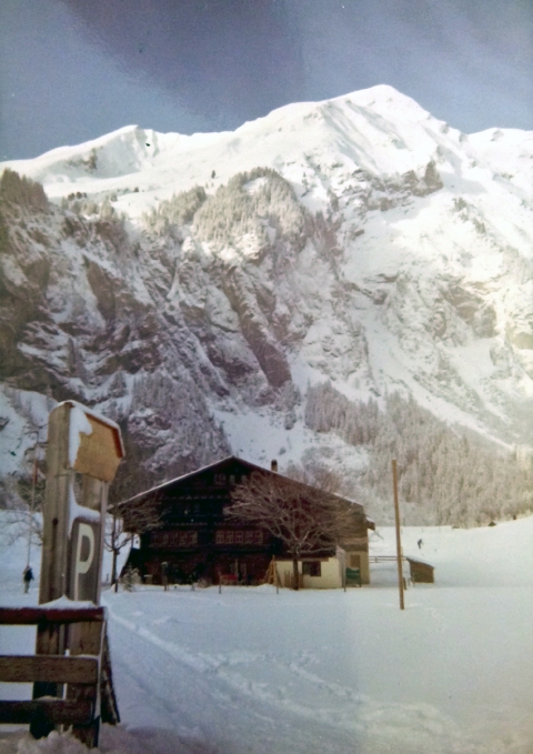The Hotel where we stayed<br>