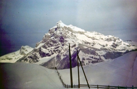 View from the hotel<br>