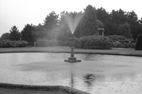 The fountain in full flow - summer 1965<br>Photo supplied and taken by Richard Hawkins OT 681