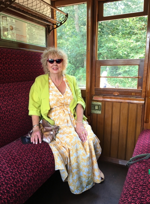 Mrs G on the Train<br>