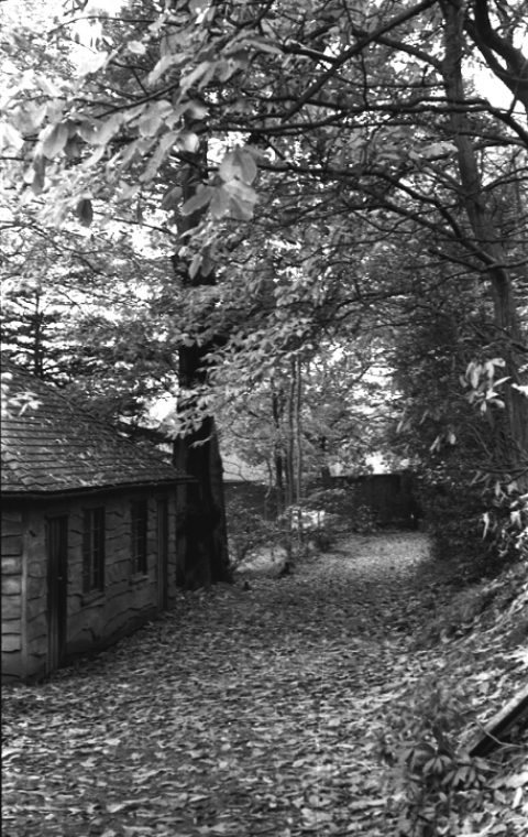 Geography Classroom (Log Cabin) c.1958<br>Photo supplied and © Mike Leggett