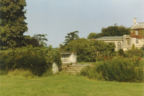 Mansion 5-x<br>