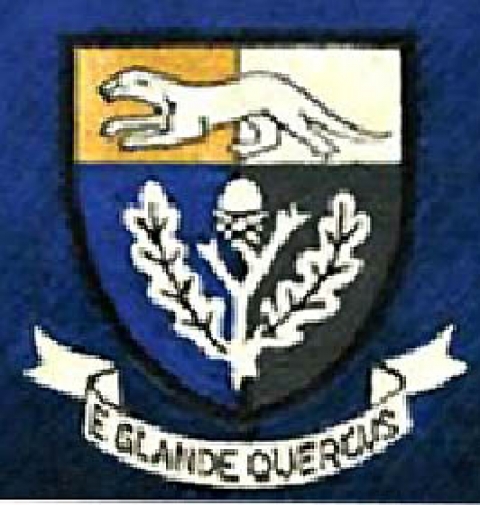 Colour Badge<br>