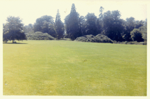 From the cricket pitch<br>
