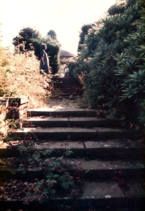 The garden stairs<br>Photo supplied by John Smith